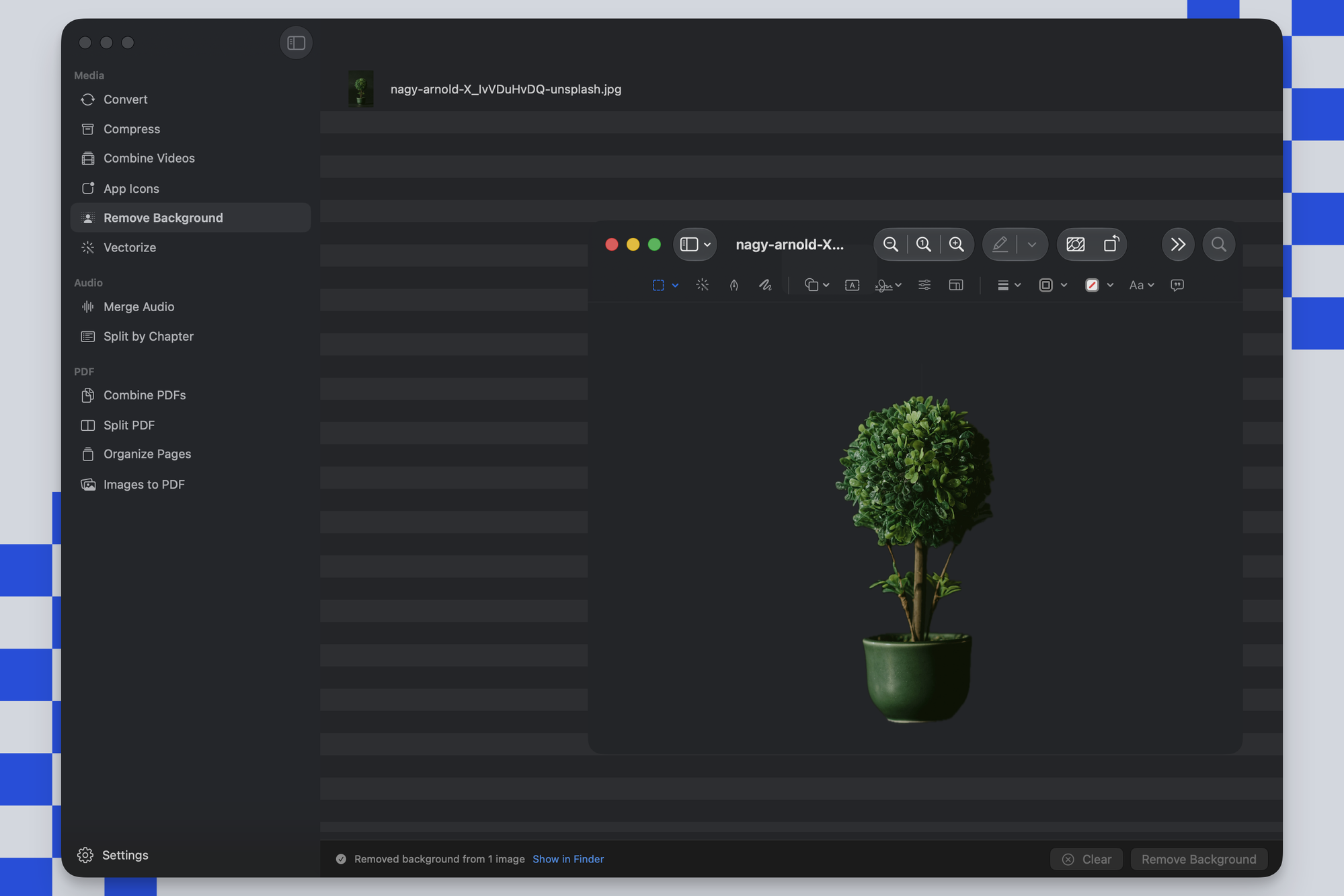 The same potted plant with its background removed, previewed on a transparent checkerboard