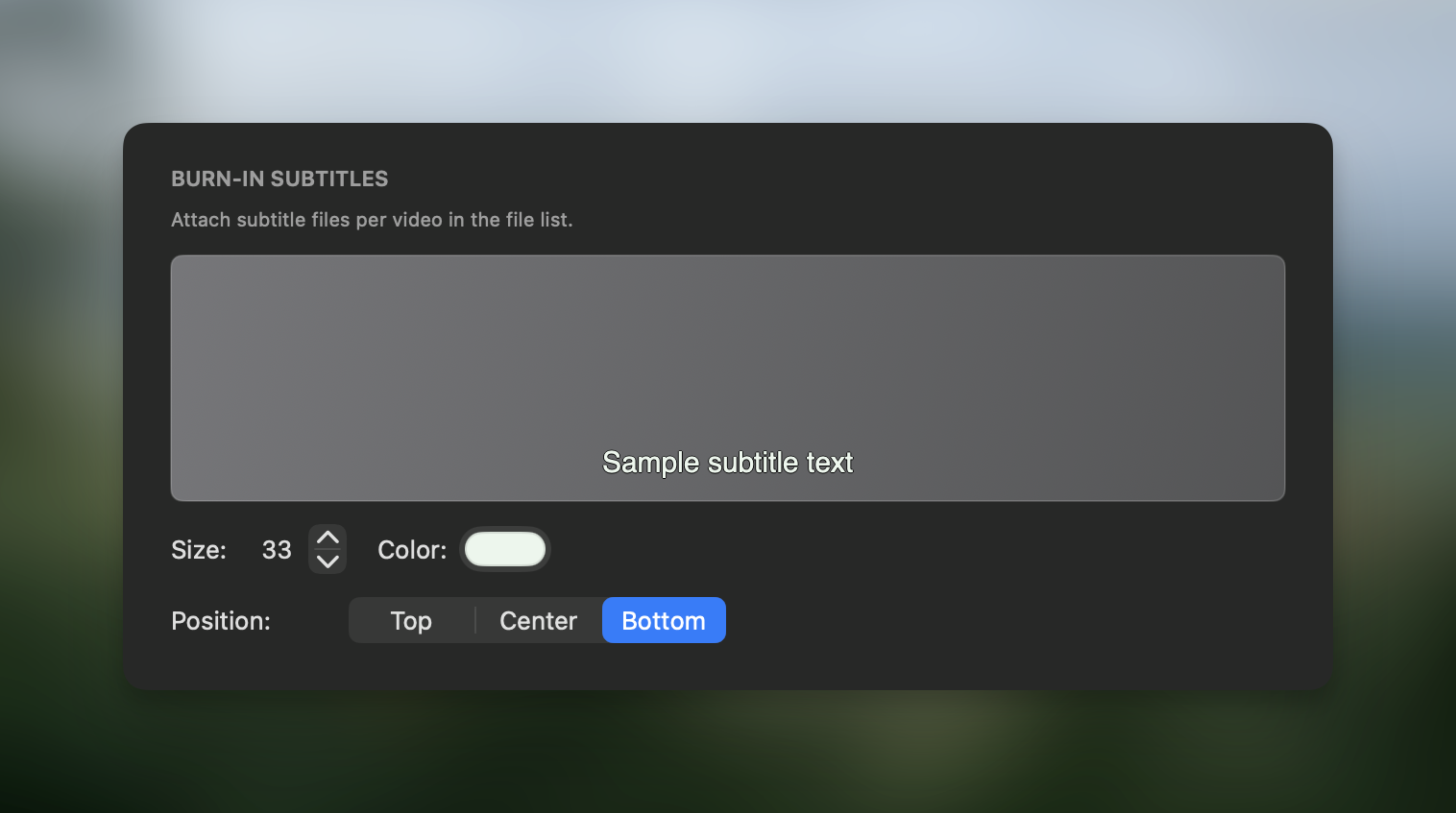Subtitle settings in Picmal