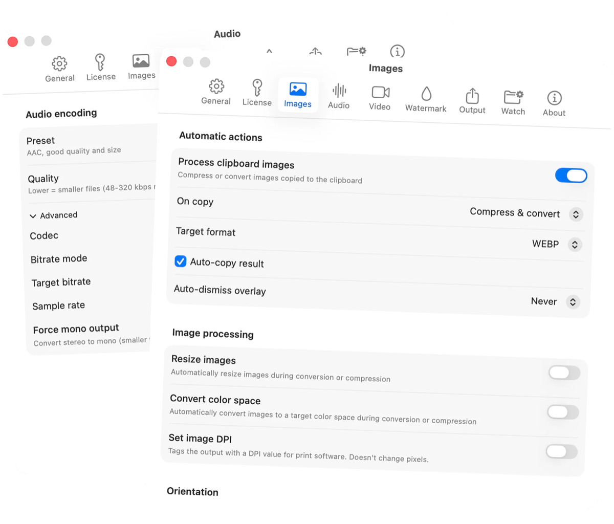 Picmal presets and settings